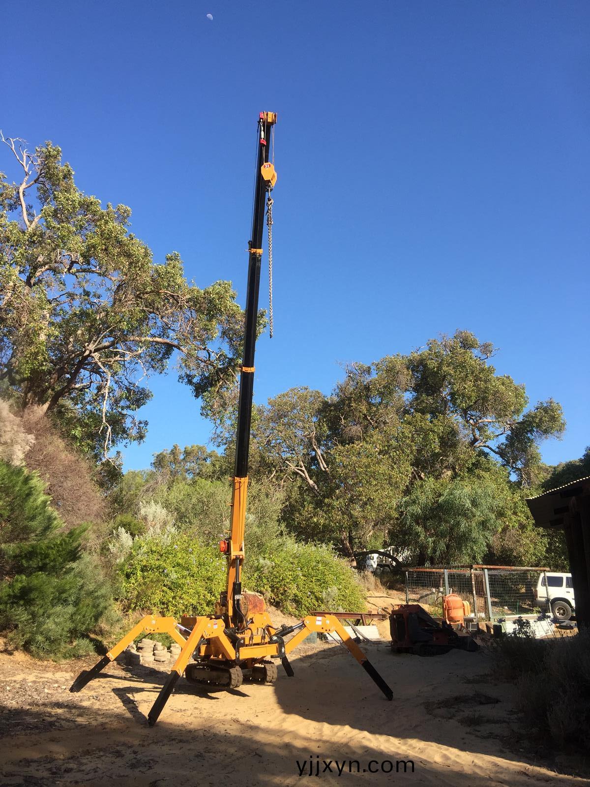 履帶式起重機圖片(pian)