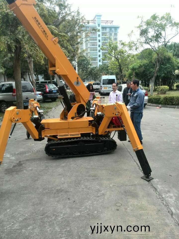 履(lv)帶式起重機圖片