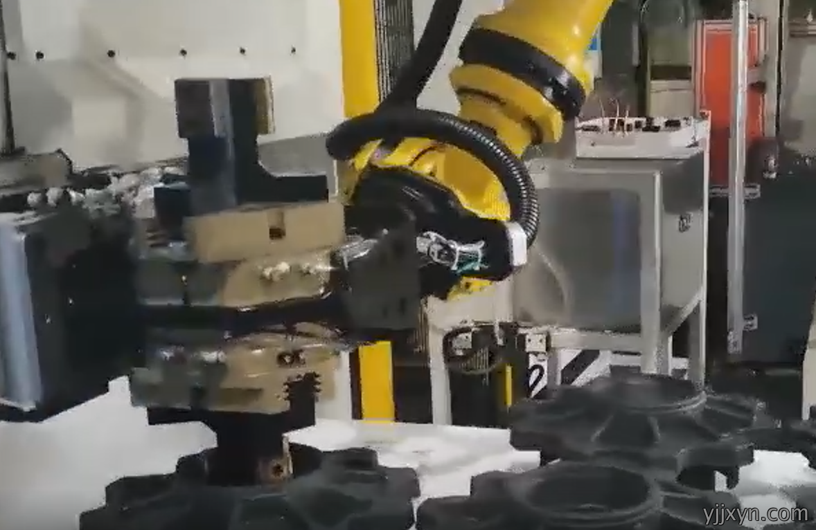 视频实拍